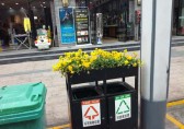 環(huán)衛(wèi)分類垃圾桶上栽花，成為城市風(fēng)景線