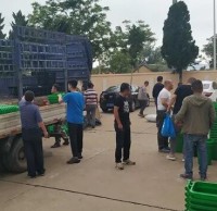 南長山街道為漁村居民發(fā)放分類垃圾桶